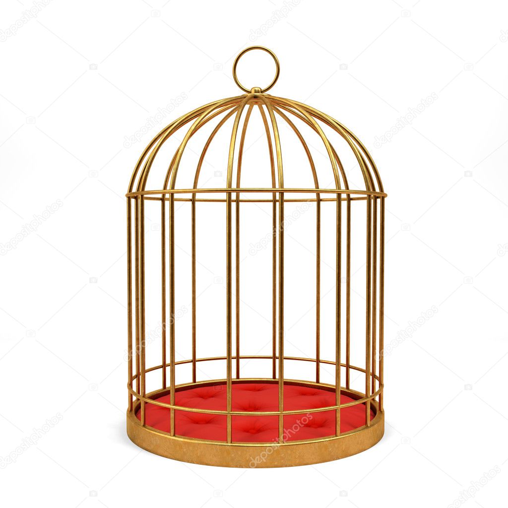 in a cage cage in a cage cage