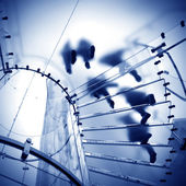 dp-17667165