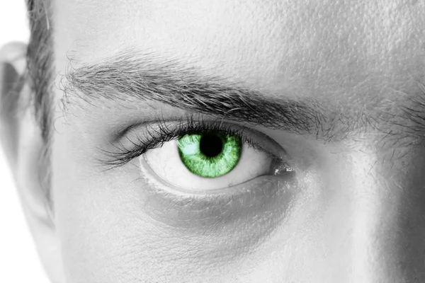 Macro shot of green man's eye, black and white